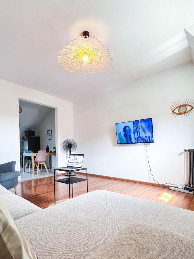 מולהאוס Appart'Hotel Le Dornach - Proche Gare Et Autoroute מראה חיצוני תמונה