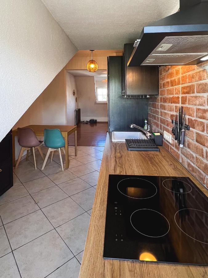 מולהאוס Appart'Hotel Le Dornach - Proche Gare Et Autoroute מראה חיצוני תמונה