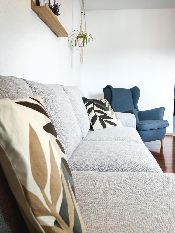 מולהאוס Appart'Hotel Le Dornach - Proche Gare Et Autoroute מראה חיצוני תמונה